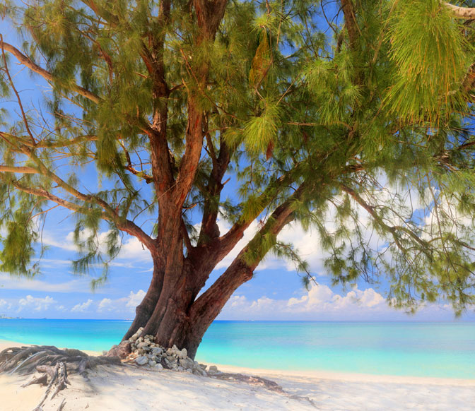 Seven Mile Beach | West Bay | Grand Cayman