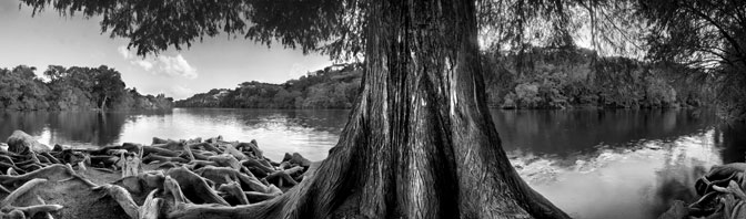 redbud Isle | Austin | Texas