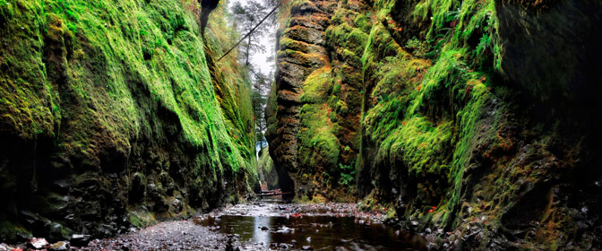 Oneonta Gorge | Portland | Oregon