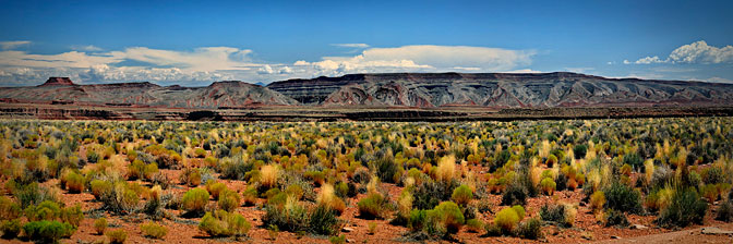 Gooseneck State Park |  | Utah