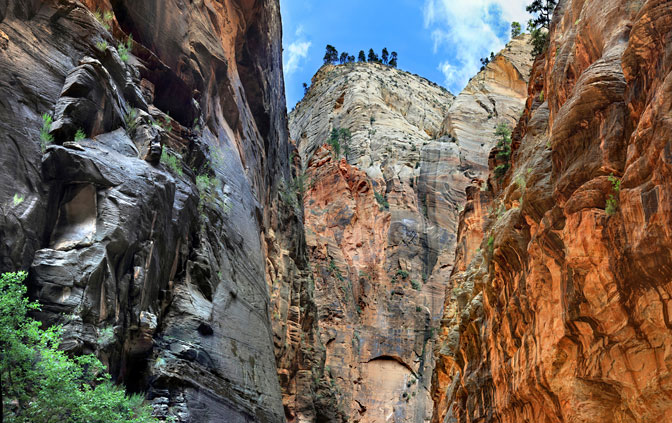 Zion National Park |  | Utah