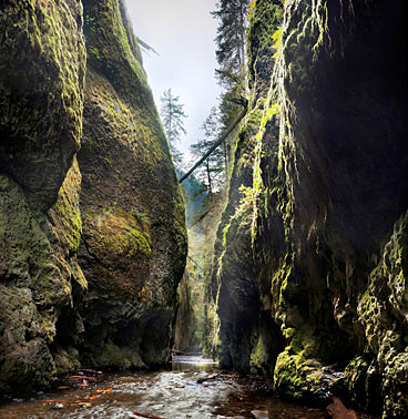 Columbia River Gorge | Portland | Oregon