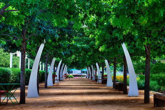 Klyde Warren Park | Dallas | Texas