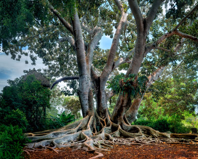  | Sarasota | Florida