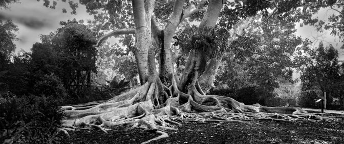  | Sarasota | Florida