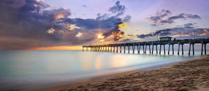   | Venice | Florida