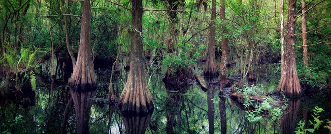  |  | Florida