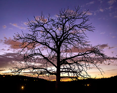  | Santa Fe | New Mexico