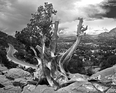  | Sedona | Arizona